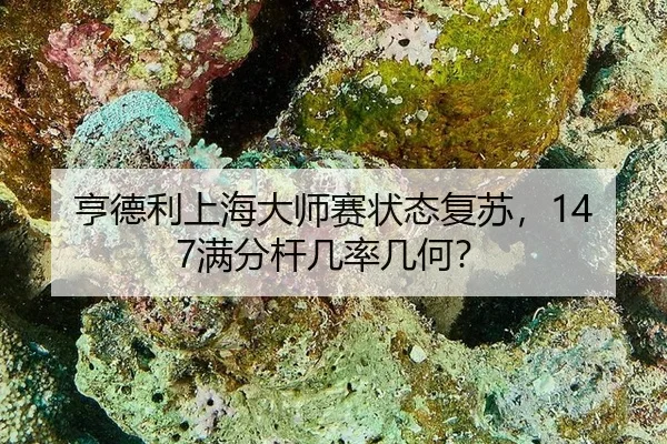 亨德利上海大师赛状态复苏，147满分杆几率几何？