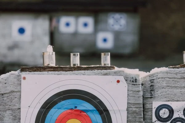 archery target